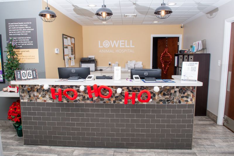 HighQuality Vet Hospital in Lowell, IN Lowell Animal Hospital